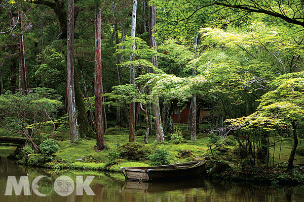 綠湖輕舟，古木幽林，西芳寺的清涼，吹著苔色。（圖片提供／TRAVELER Luxe旅人誌）