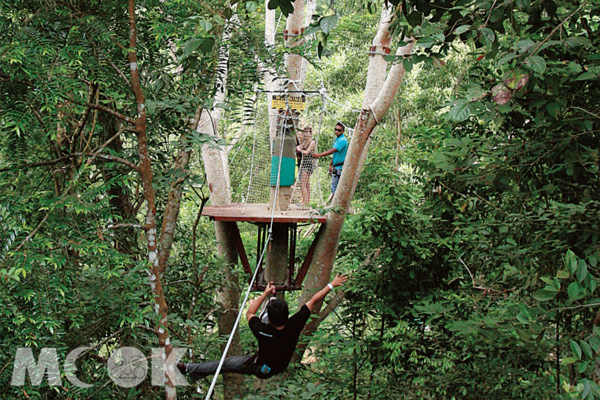 沿著繩索滑下，穿梭森林間遨遊的Flying Lemur（圖片提供／TRAVELER Luxe旅人誌）
