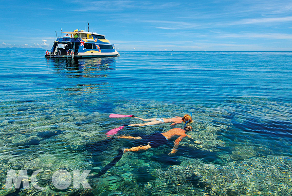 欣賞大堡礁的海底世界，是公認造訪昆士蘭不可錯過的首選玩法。（圖片提供／昆士蘭旅遊局）