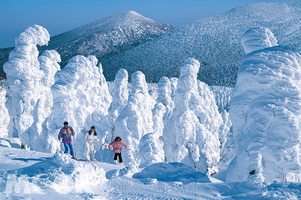 冬天限定的「藏王樹冰」，堪稱日本國寶級的自然景觀。（圖片提供／宮城県観光課観光産業振興班）