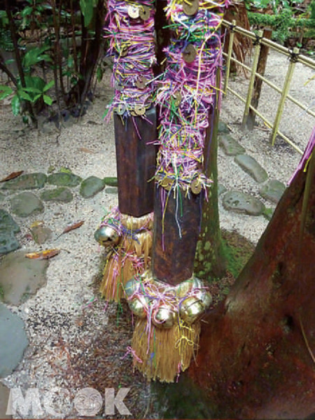 青島神社繫在樹上最多的果然還是粉紅色姻緣線。（攝影／TRAVELER Luxe旅人誌Apirl）