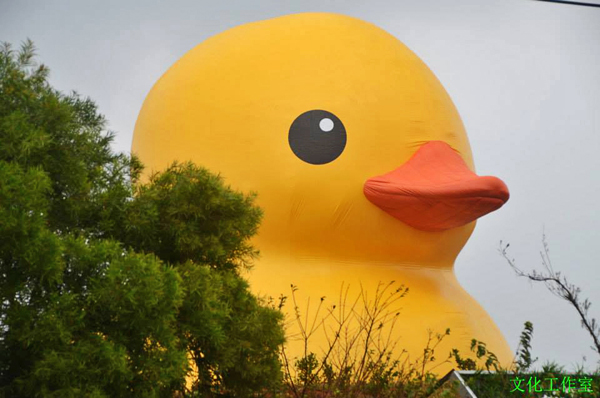 桃園的黃色小鴨將於明日正式亮相。（圖片來源／取自桃園地景藝術節粉絲團）
