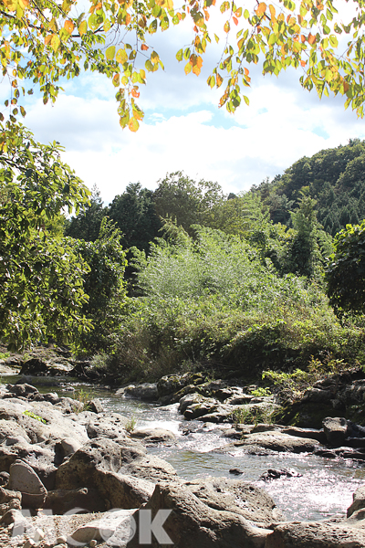 暮秋日光宜人，踏上神鍋高原熔岩流健行步道，處處是美景。（攝影／TRAVELER Luxe旅人誌莊幃婷）