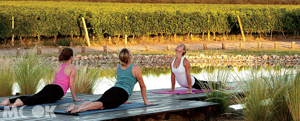 池畔、葡萄園邊，晴空之下的瑜伽課。（圖片提供／The Vines Resort & Spa）