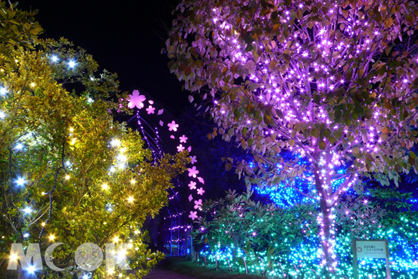 利用30萬顆燈打造出日本四季。（圖片提供／あしかがフラワーパーク）