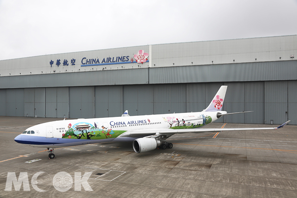 台灣黑熊與雲門舞者一起登上彩繪機，飛向高空。（圖片提供／中華航空）