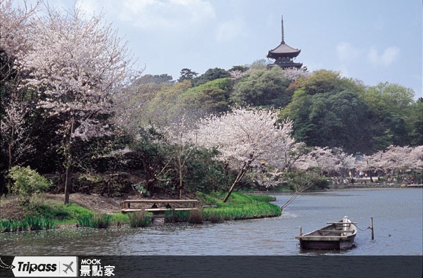 大池的櫻花祭景色。（圖片提供／墨刻編輯部）