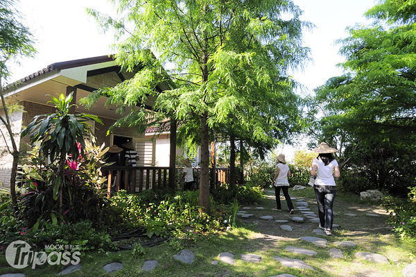 住宿區綠樹成蔭，阻隔了獨辣的陽光，多了些大自然的芳香。（攝影／MOOK景點家旅遊生活網陳冠鑫）