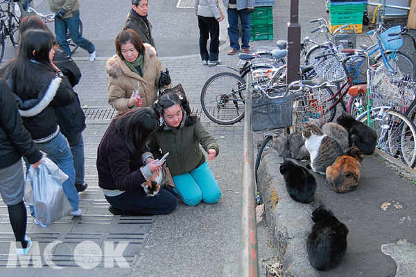 谷中銀座商店街，吸引不少遊客前來看看曬太陽的貓。（圖片提供／TRAVELER Luxe旅人誌）