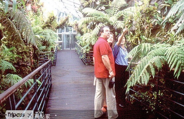 新加坡植物園，是當地人尋求綠意的熱門選擇。（圖片提供／墨刻編輯部）