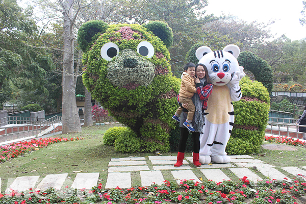 壽山動物園超萌的「愛幸虎」老虎立體綠雕吸引許多民眾合照。（圖片提供／高雄市壽山動物園）