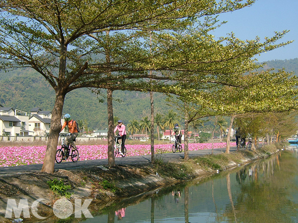 除了賞花，還可在鄉間騎自行車享受樂活時光。（圖片提供／美濃區公所）