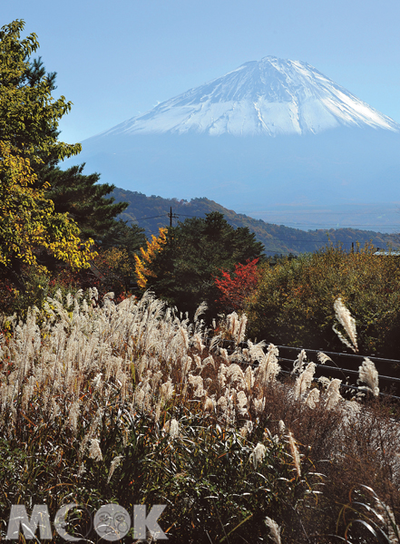 西湖いやしの里根場可以體驗各式手作，這裡也是欣賞富士山的最佳景點之一。（圖片提供／TRAVELER Luxe旅人誌）