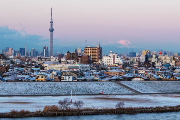 東京近日降下大雪，白茫茫一片展現不同於夏日的東京風貌。（圖片來源／翻攝自網路）