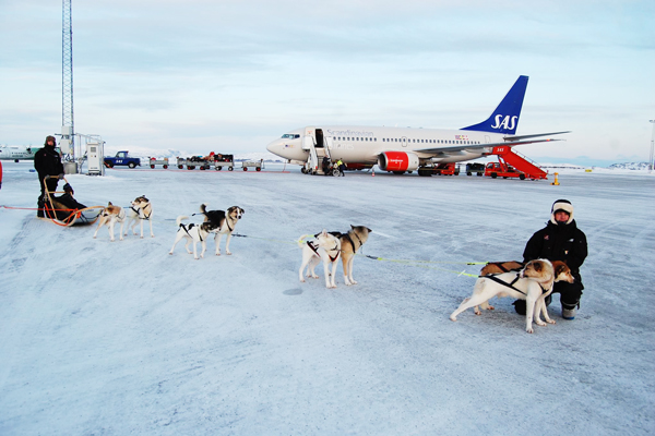 挪威旅館業者推出全球首創「哈士奇計程車」的機場接送服務。（圖片來源／取自Kirkenes Snowhotel粉絲團）