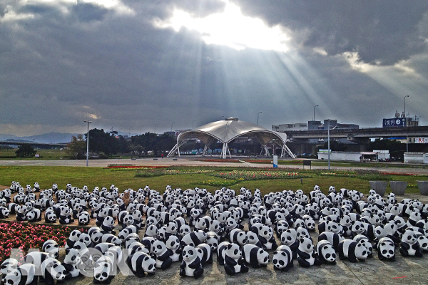 紙貓熊們今早在大佳河濱公園迎接台北的曙光。（圖片提供／台北市政府觀光傳播局）