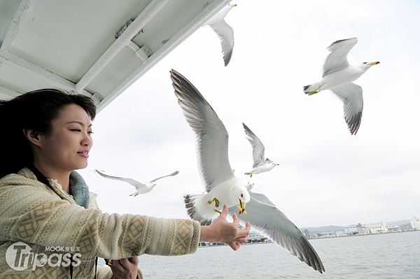 搭乘松島遊覽船的特色玩法，就是拿蝦味先「釣海鷗」。（攝影／MOOK景點家旅遊生活網陳冠鑫）
