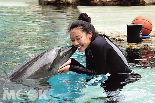 和海豚親密互動，是海豚園最大的魅力所在。（圖片提供／TRAVELER Luxe旅人誌）