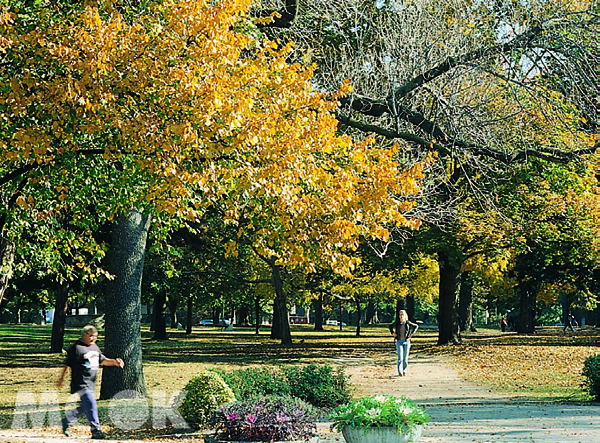 成立於1827年的多倫多大學佔地遼闊，範圍甚至還橫跨皇后公園（Queen’s Park），是加拿大規模最大的大學。（圖片提供／墨刻編輯部）