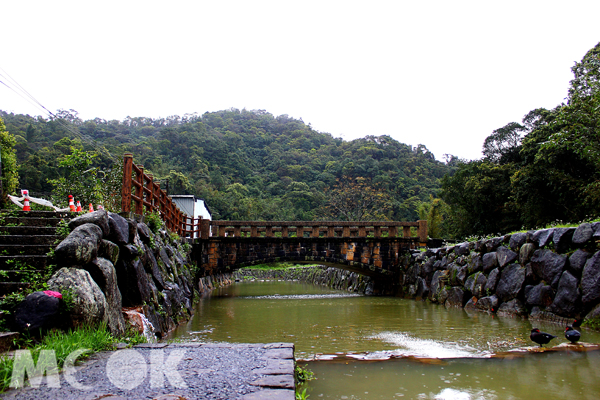 內溝溪小橋、流水、野鴨構成的幽美景色。（圖片來源／台北市政府工務局官網）