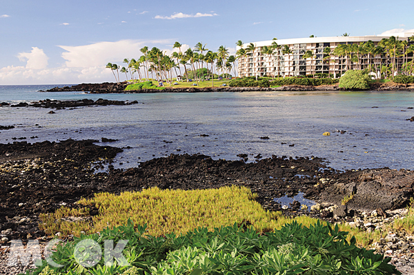 位於夏威夷大島希爾頓唯客樂度假村（Hilton Waikoloa Village）。（圖片提供／TRAVELER Luxe旅人誌）