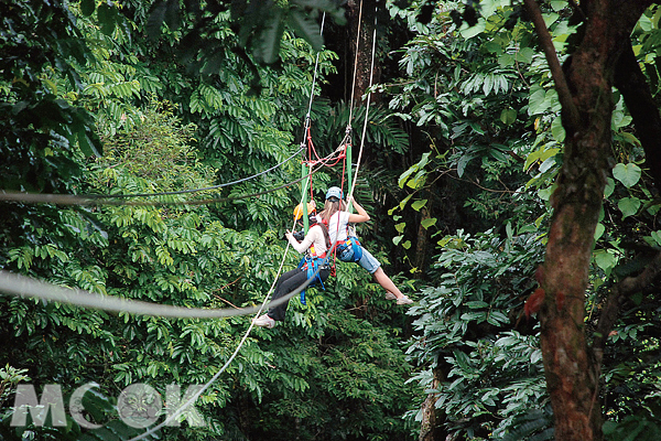Jungle Surfi ng的前三段索道都是用拉行的方式，感覺像是被吊在半空中欣賞世界最古老的熱帶雨林。（圖片提供／TRAVELER Luxe旅人誌）