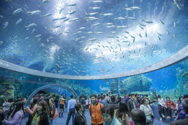世界最大水族館寶座，由長隆海洋王國奪得。（圖片來源／www.huffingtonpost.com）