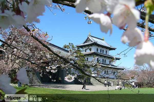 北海道最著名的「松前櫻花祭」即將登場。（圖片提供／墨刻編輯部）
