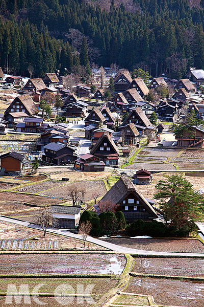 白川鄉合掌村的芧草屋頂小巧可愛，親自造訪彷彿走入歷史場景一般令人神馳。（圖片提供／TRAVELER Luxe旅人誌）