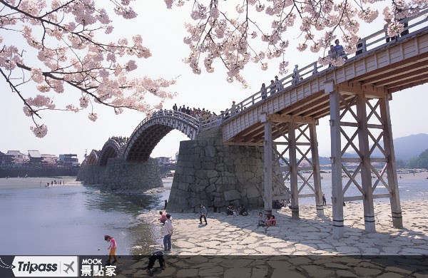 錦帶橋橫跨錦川，造型優美，流傳有「山為富士、瀧為那智、橋為錦帶。」的說法。（圖片提供／MOOK編輯部）