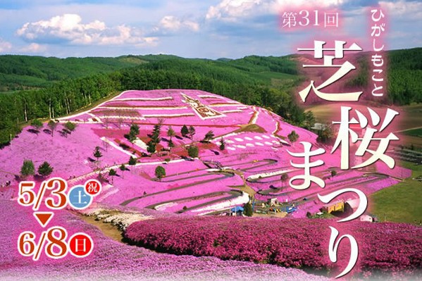 每年東藻琴芝櫻公園的芝櫻季於五月到六月初舉辦。(圖片來源／東藻琴芝櫻公園)