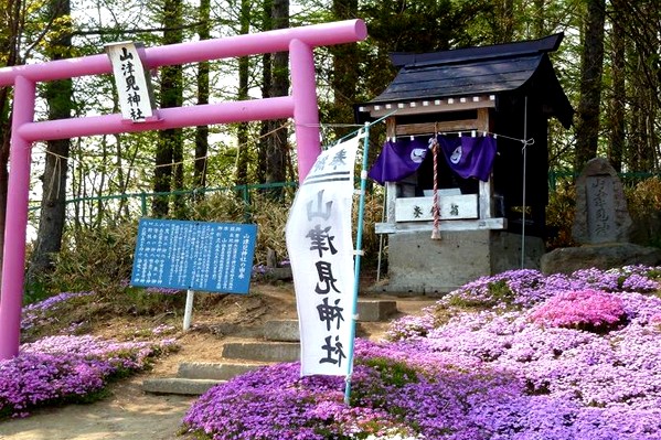 山津見神社的粉紅色鳥居非常特別。(圖片來源／東藻琴芝櫻公園)