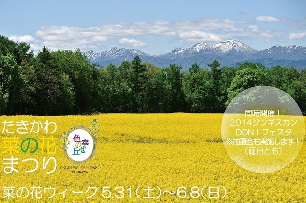 瀧川油菜花田季每年於五月底六月初展開。（圖片來源／たきかわ菜の花まつり）