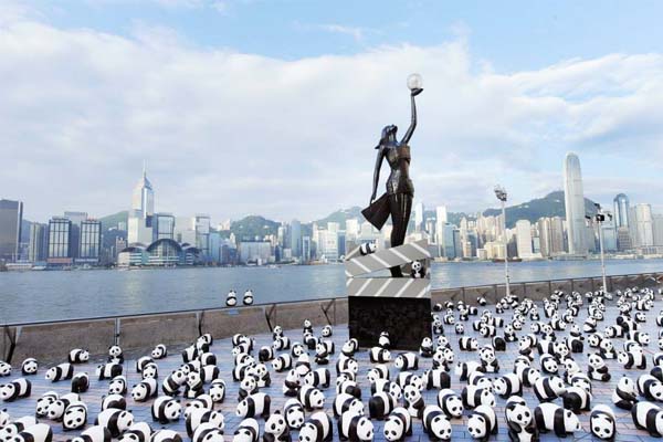 1600紙熊貓來到尖沙咀星光大道，場面壯觀。(圖片來源／1600熊貓遊)