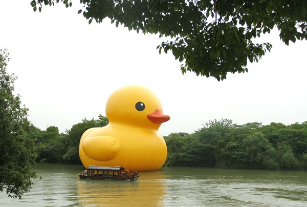 大黃鴨中國之旅首站在杭州西溪濕地公園。(圖片來源／西溪濕地公園)