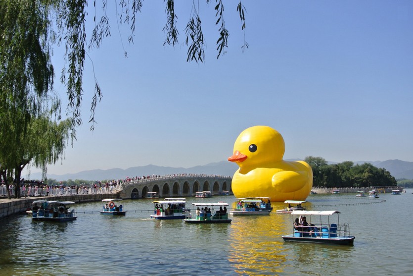 官方週邊商品明信片以過去大黃鴨展出地影像為主，此為2013年北京頤和園。(圖片來源／蔚龍藝術)