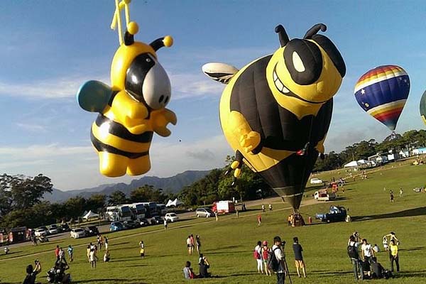 大黃蜂造型。(圖片來源／台灣熱氣球嘉年華)
