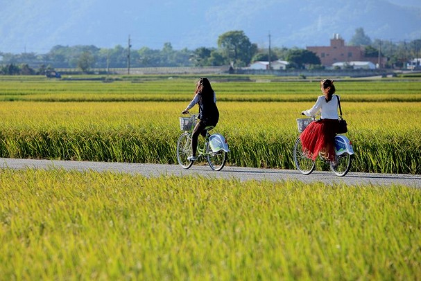 在這條筆直的鄉間道路騎乘單車，美景相伴十分過癮！（圖片來源／台東縣政府觀光旅遊網）