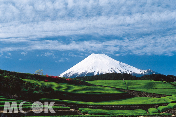 富士山於2013年正式列入世界文化遺產名單中。(圖片提供／靜岡縣國際經濟振興會 ）