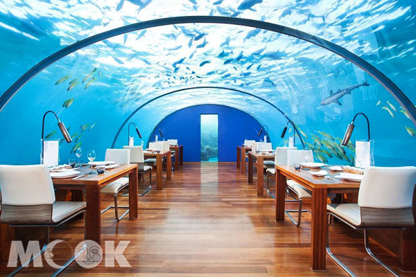 馬爾地夫港利度假酒店玻璃海底餐廳，提供情人夢幻的用餐環境。(圖片提供／Hotels.com）