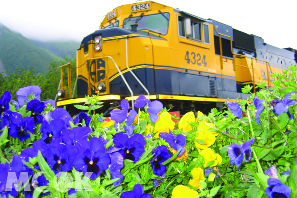 乘坐火車欣賞阿拉斯加美景是相當受歡迎的旅遊方式之一。(圖片提供／阿拉斯加觀光旅遊局)