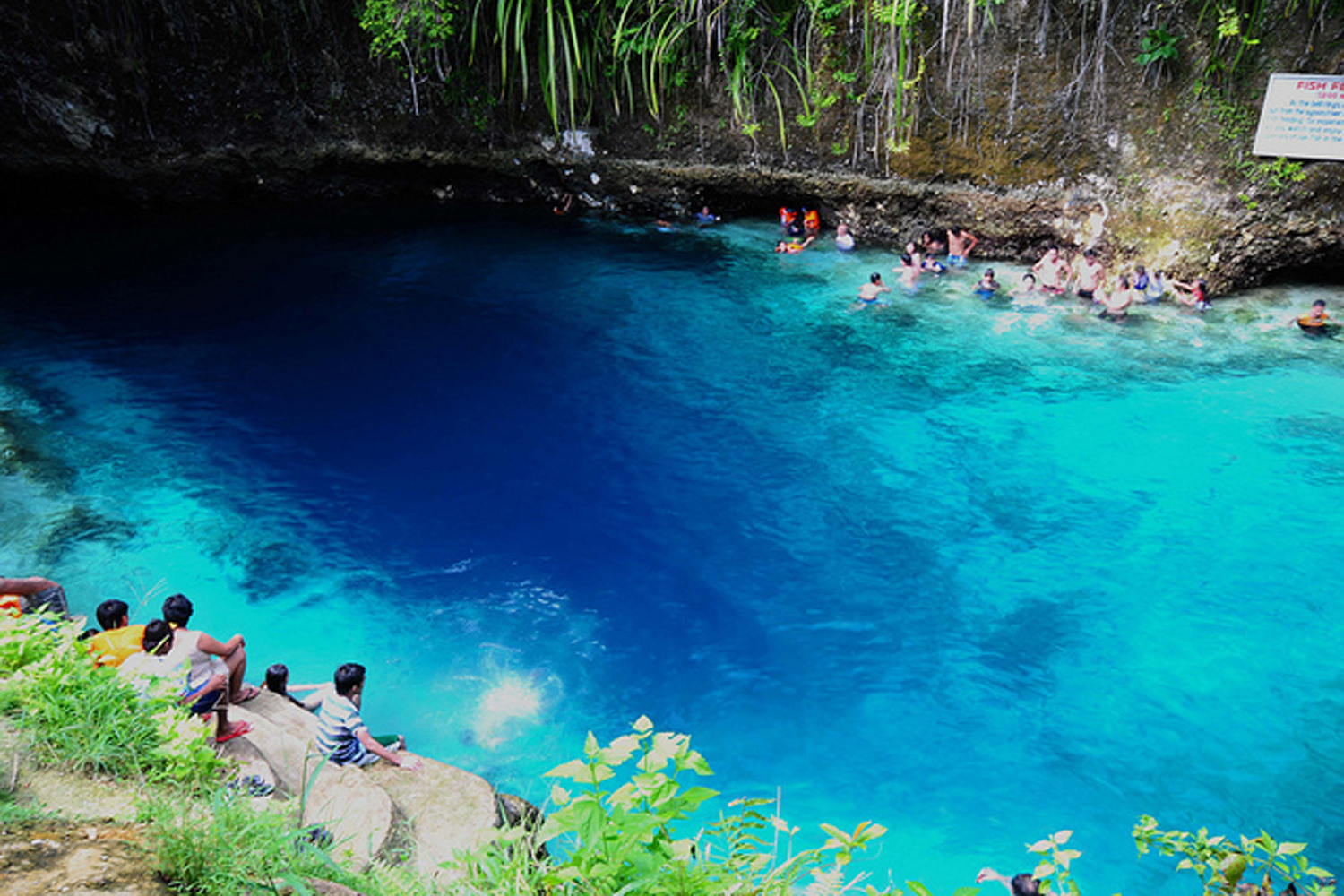 如水晶般璀璨透徹的河水是魔幻之河最美的地方。(圖片來源／philippinetouristattractions）