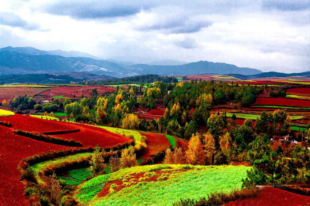 東川紅土地顏色四季因作物花色而更替，大地因時節遍佈著不同的色塊。(圖片來源／absolutechinatours）