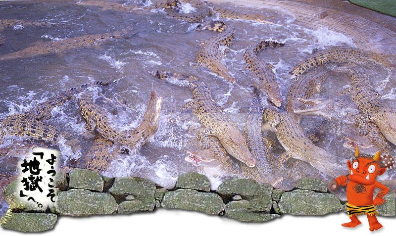 鬼山地獄旁豢養著許多鱷魚，在這裡可以欣賞鱷魚餵食秀。(圖片來源／beppu-jigoku）