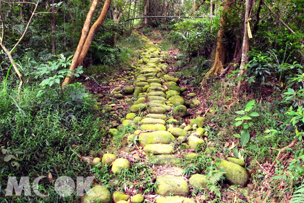 茅香古道。(圖片提供／行政院農業委會）