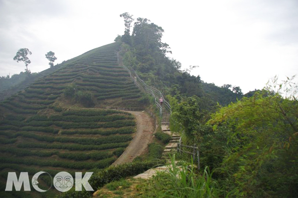 中秋連假不仿可以來籠頂走走，欣賞山中日出美景。(圖片提供／中華綠生活休閒發展協會）