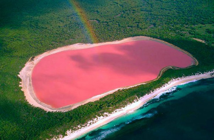 澳洲粉紅湖坐落在一片蓊鬱森林之中。(圖片來源／placestoseeinyourlifetime）