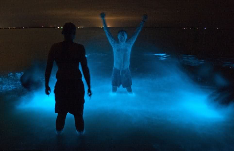 泳客身上染上藍色螢光看起來相當詭異有趣。(圖片來源／sharegoodstuffs）