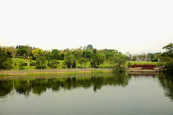 南港公園環境清幽，湖畔樹影倒映，愜意悠閒。(圖片來源／台北市工務局）