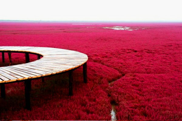 一大片的紅色沙灘相當驚艷。(圖片來源／cristimoise）